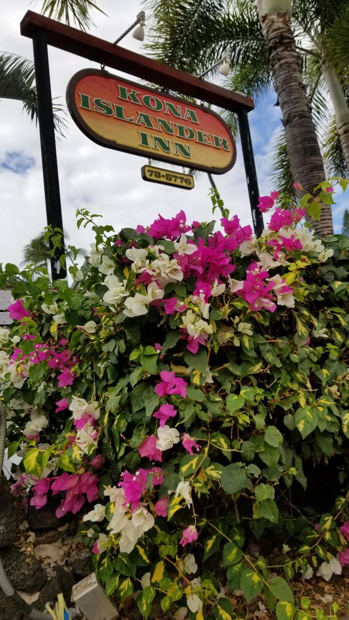 Downtown Hawaiian Theme Condo With Hot Tub, Pool & Beach - Kona Islander Inn Kailua-Kona Exterior photo